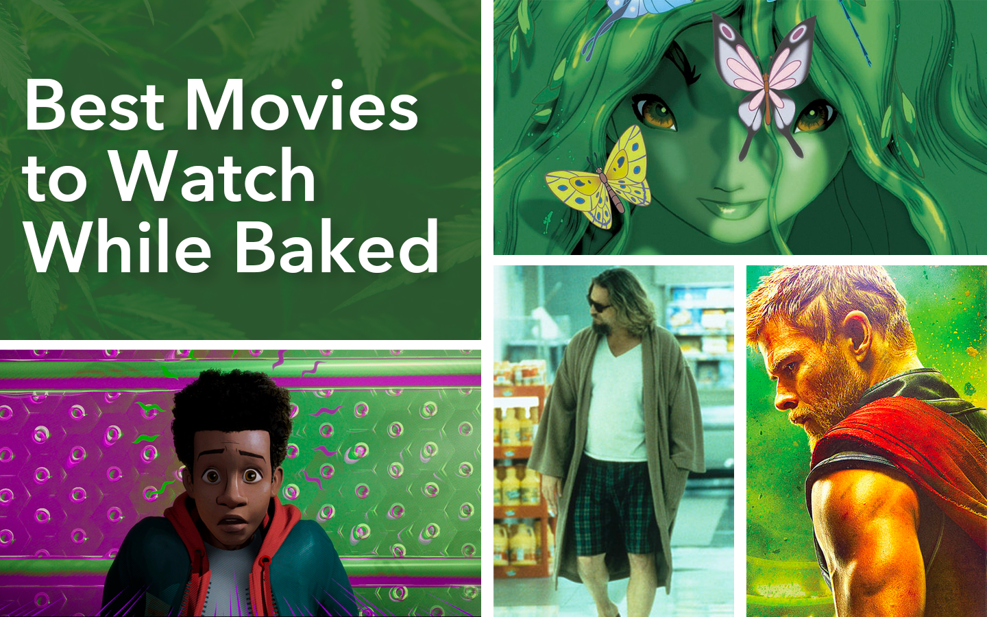 Best Movies to Watch While Stoned and Where to Stream Them